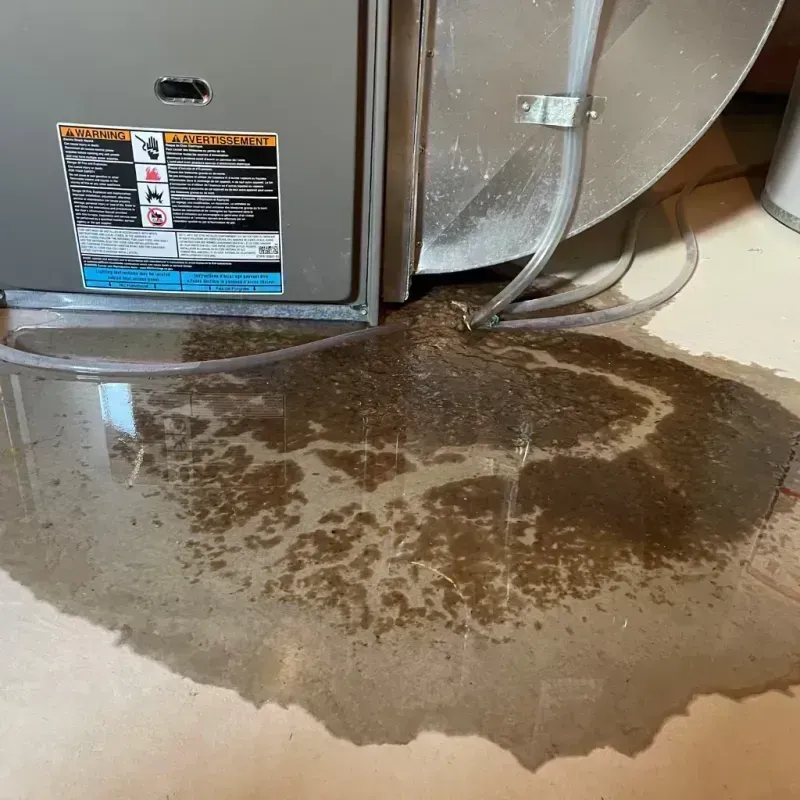 Appliance Leak Cleanup in Mountrail County, ND